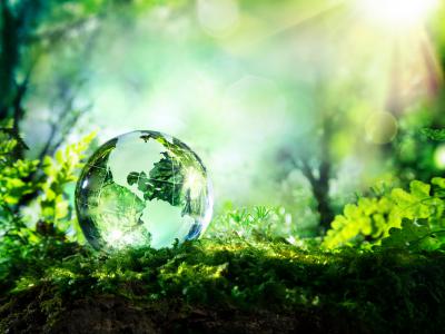 Check out our eco qualities